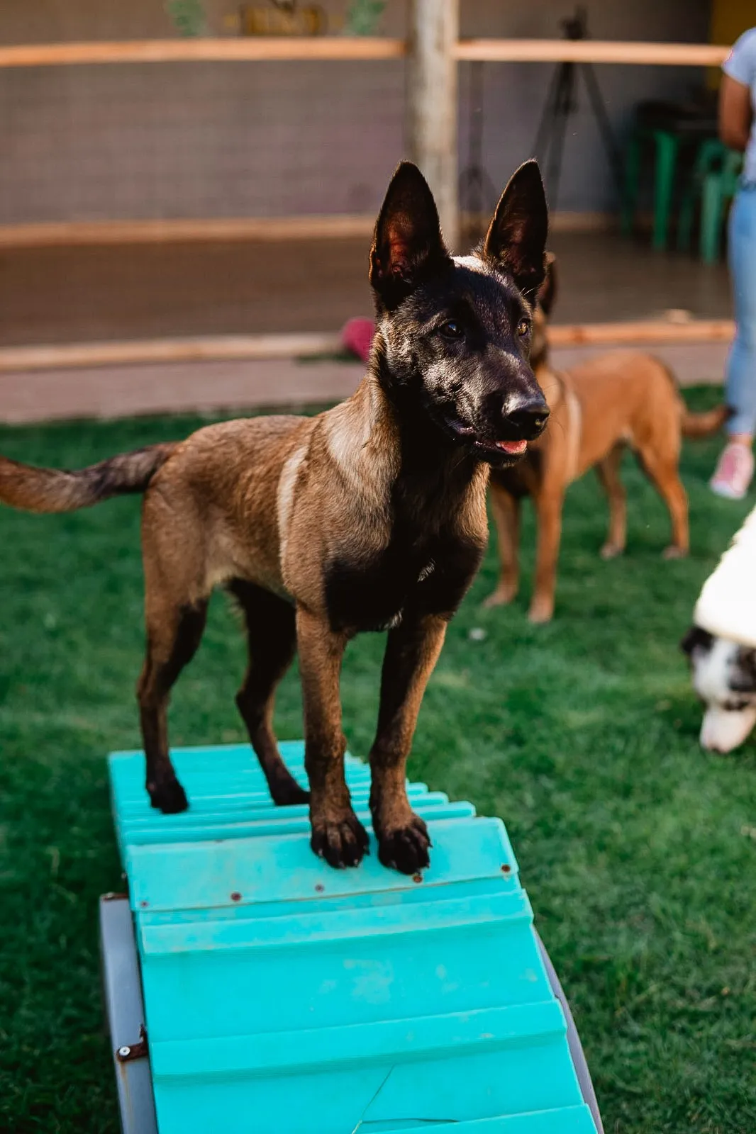 PlayGround e Piscina